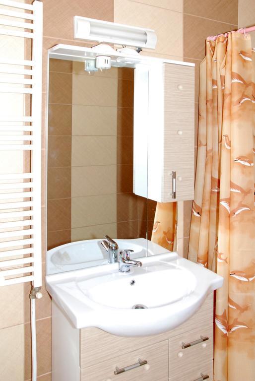 Vila Nicoleta Hotel Sibiu Exterior photo